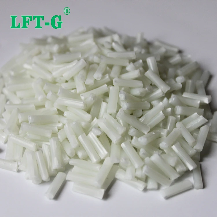 polyamide6 LGF